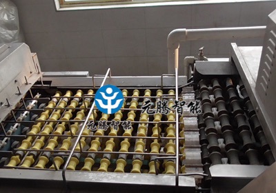 蛋类清洗输送设备