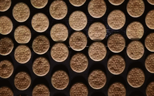 1564715836660283.gif 食品输送1.gif