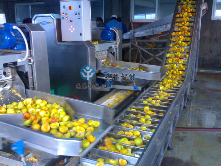果蔬生产线